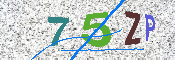 Obraz CAPTCHY