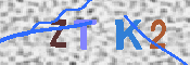 Obraz CAPTCHY